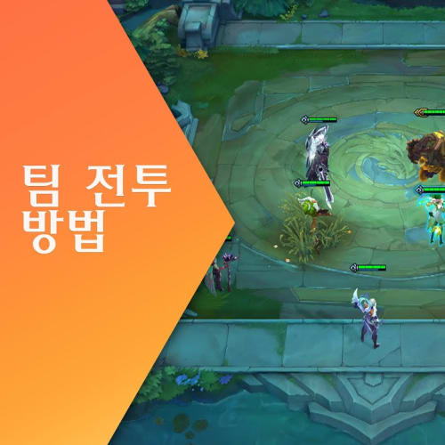 전략적 팀 전투 게임공략 쿠폰번호 등급 티어 2025 1 전략적 팀 전투 게임공략 쿠폰번호 등급 티어 2025